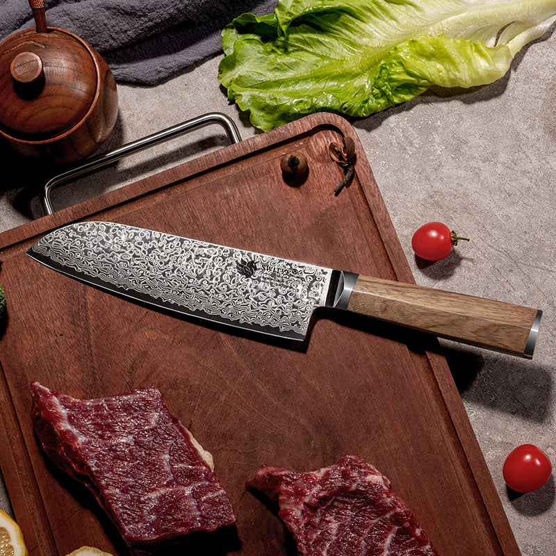 Professional Chef Knife