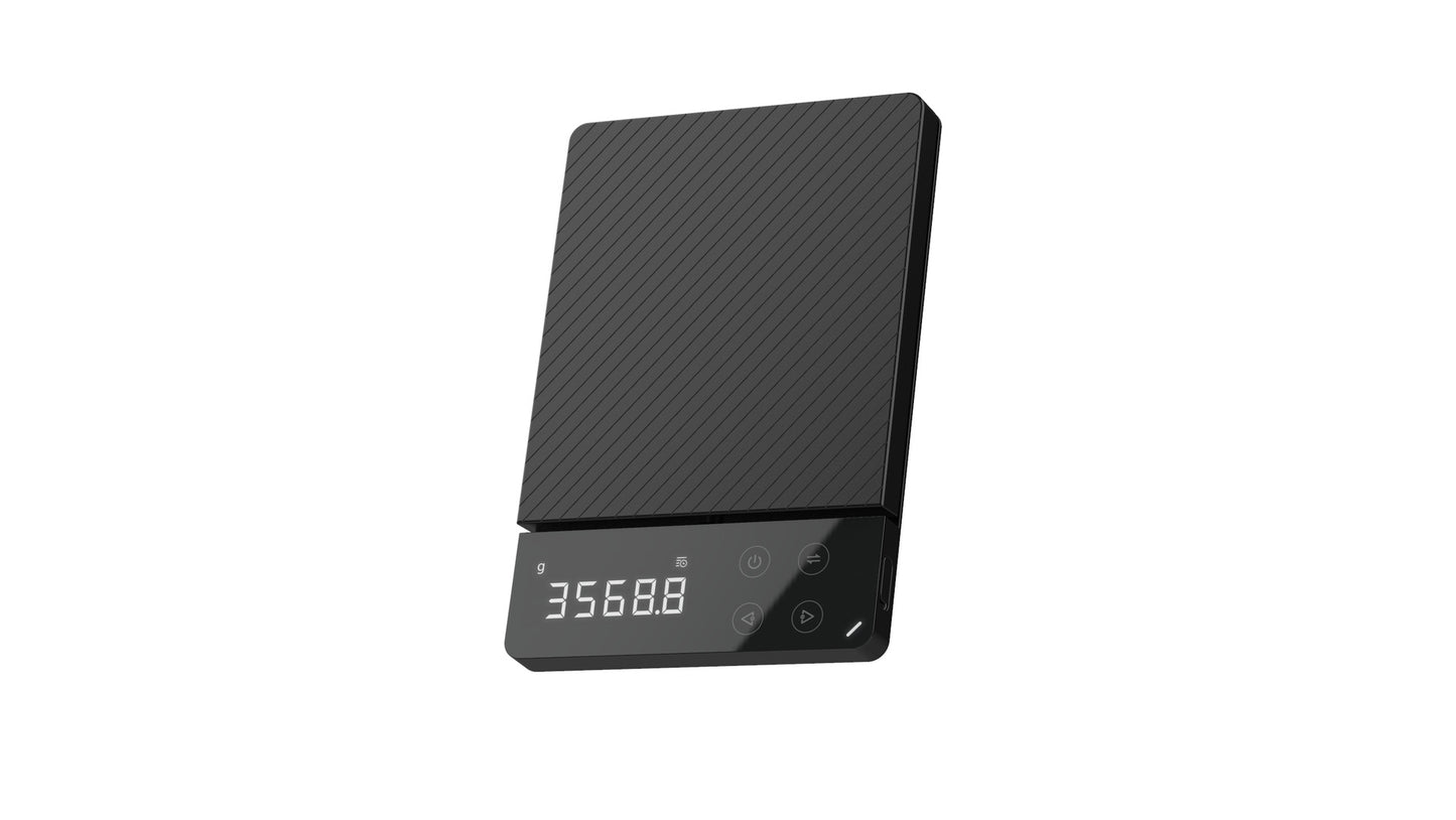 Portable Multi-Function Digital LCD Scale