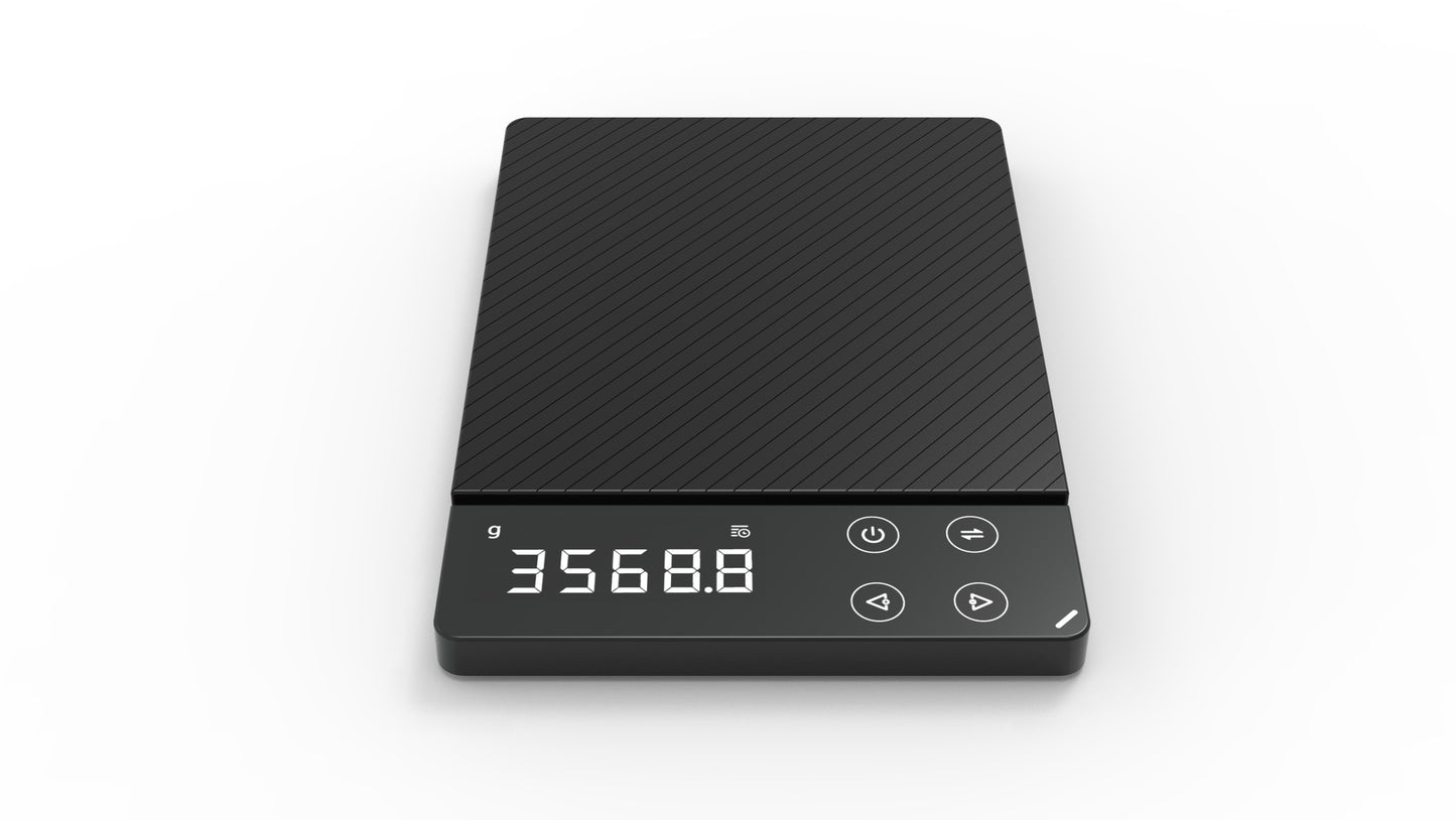 Portable Multi-Function Digital LCD Scale