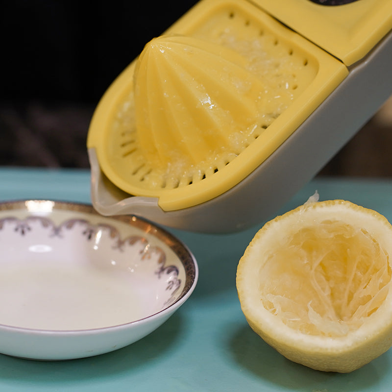 Lemon Juicer Stainless Steel Grater